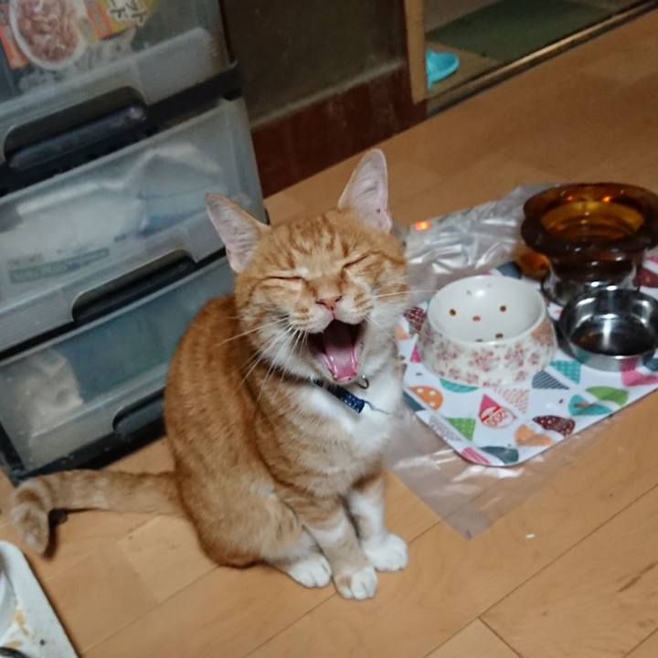 2245f012 87fc 407e a4aa f2e70d3f8ca6 1598040803777