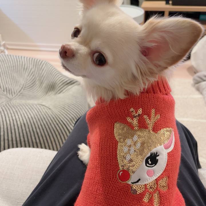 22461d4c fda3 4162 bc1e bfaa0b2f2969 1730896408319