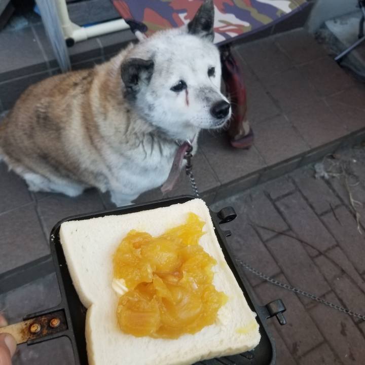 224634eb 1d79 4b98 bf2e 57915ca3b1b6 1672617055564