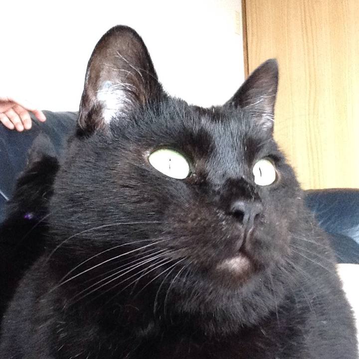 22466685 abfe 4791 8635 31b6068992e0 1533193540071