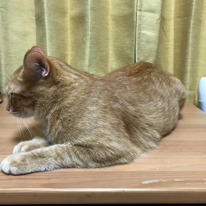 22469163 496d 4aca 9e98 1440c89b5a37 1535120258761