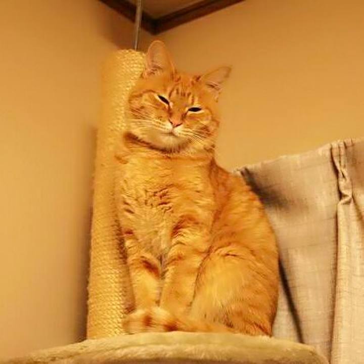 2246b2c7 2dd3 4cef 9ff6 a719662ff8c5 1514510481257