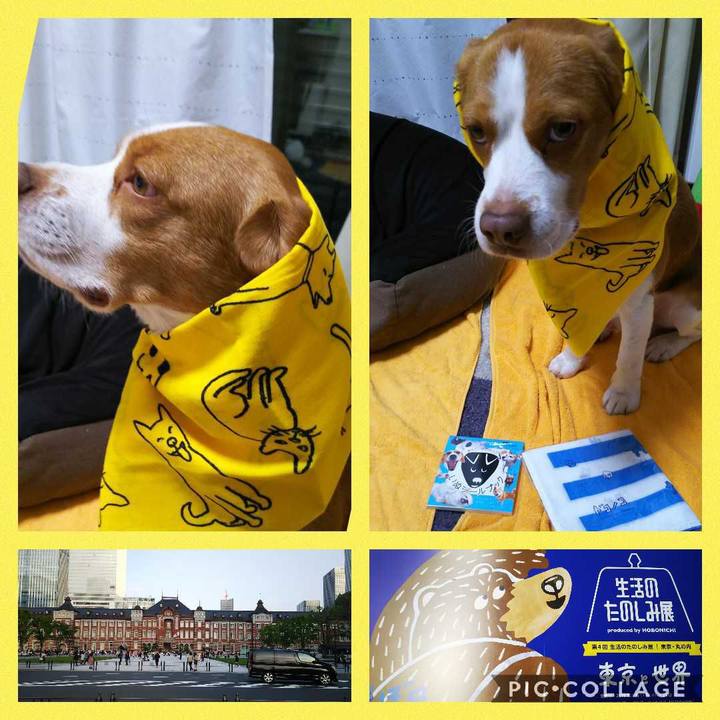 2246b839 a170 4d23 b407 ba623cadd740 1555839850994