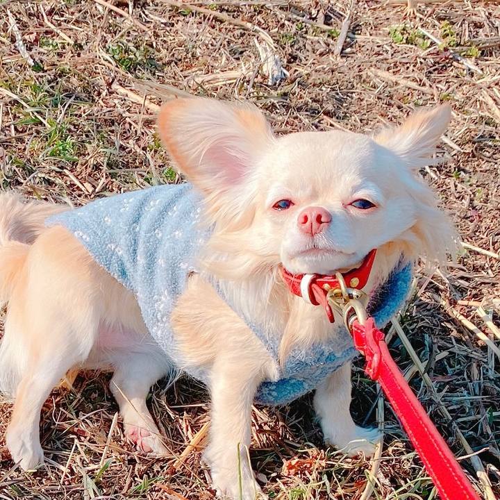 2246d4ea c8f9 4e97 a32f 4c69bd12b47d 1644304030653