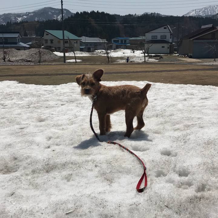 2246fc4d 49ab 4792 b42c a170f76aa96b 1524107379460