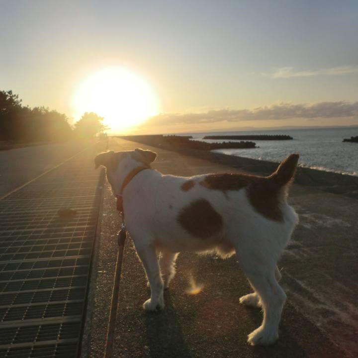 224710f3 ea3f 4ba3 82bd 8a41a949982d 1571219826103