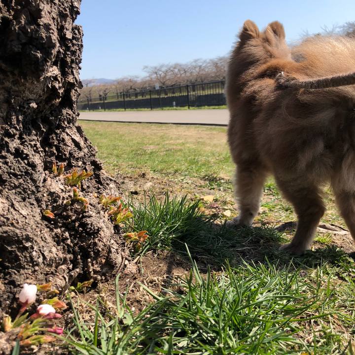 2247278b 83cd 495b 996a 9d4b19d2a6e5 1618202738659