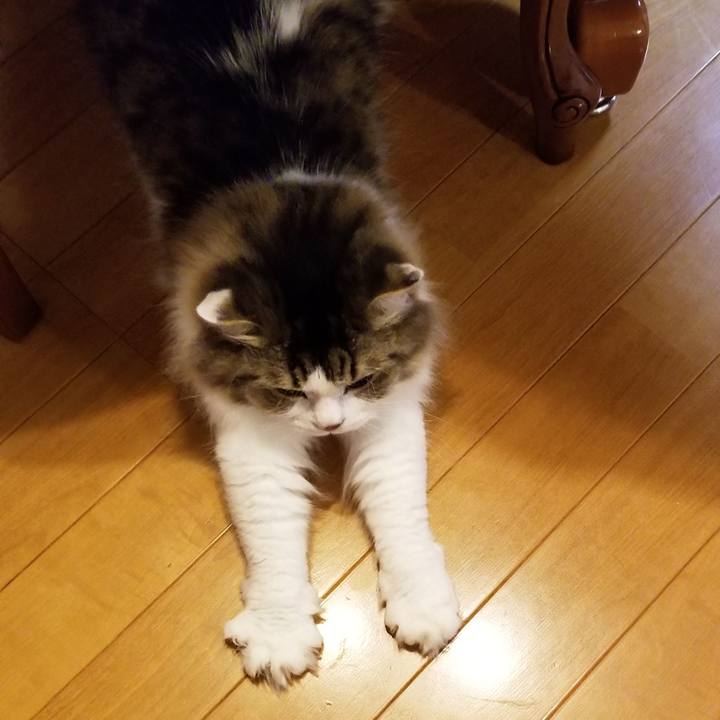 22473062 424b 4450 8ce6 38d2d99781c2 1543917961852