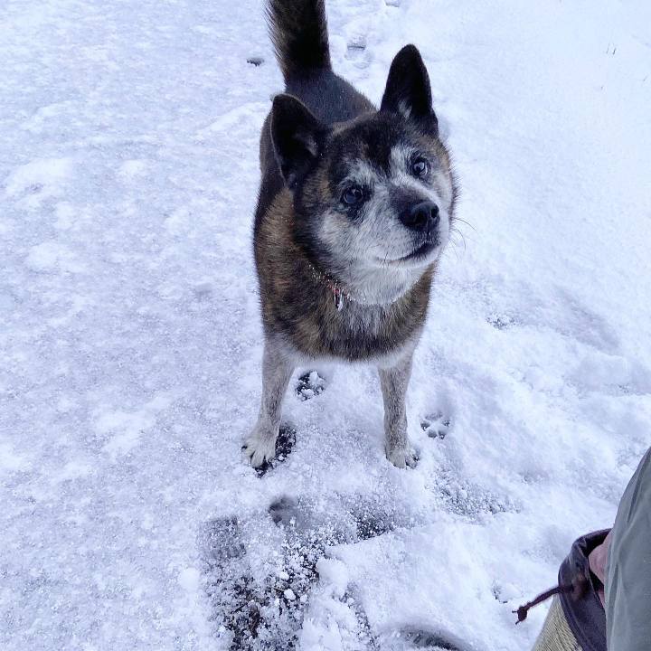 224745dd e655 46e0 a1e3 c5c081ba5eb6 1702854015664