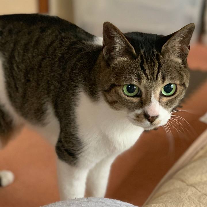 2247482b e7c7 4049 97a8 98356221d5db 1555205656126