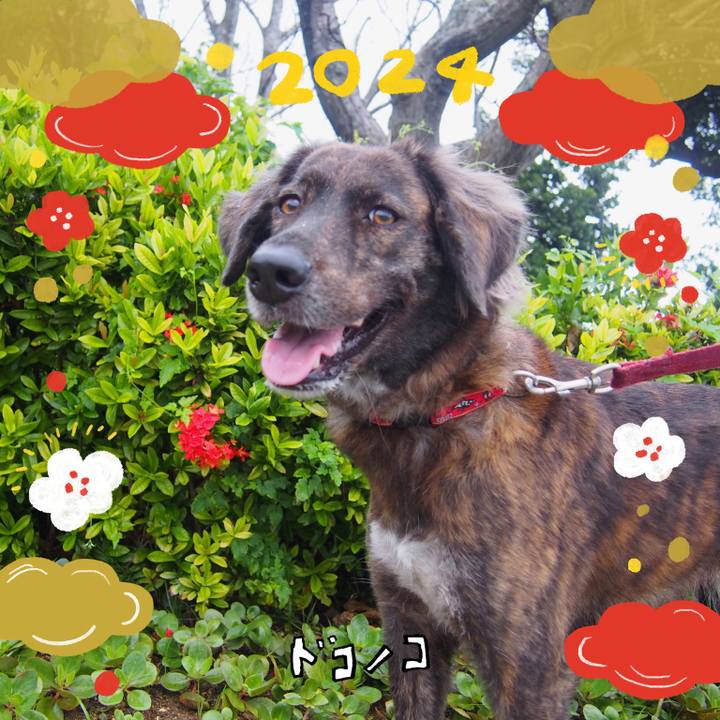 224751b6 7d54 4a11 993d 300d41c42edb 1704267466437