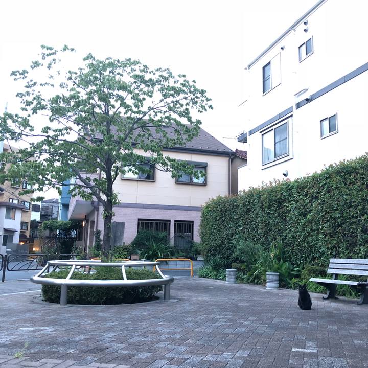 22475b47 2912 4b6d 8b19 b5e281a85e1c 1534673894759