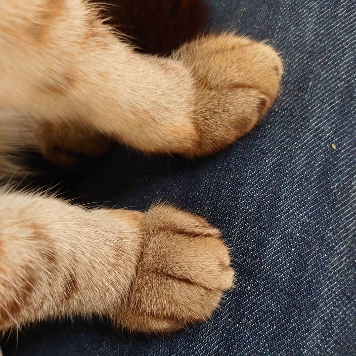 22477b29 61ec 4cc1 9a17 a851f488e584 1618551992062