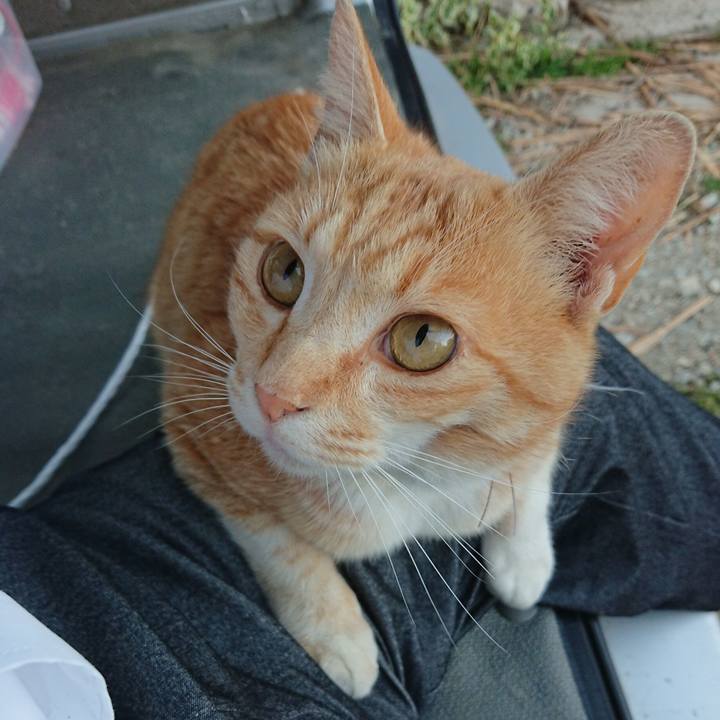 224781ae 9d34 4c37 8ada 60424383d95b 1589447833271