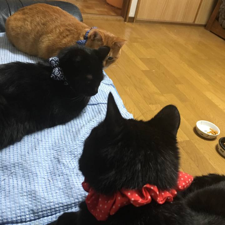 22478fe3 bf22 4115 938f 16a9db220392 1544788693725