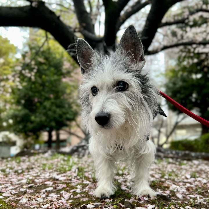 2247c7be 3318 44fd b663 4999a1065c56 1679837061991