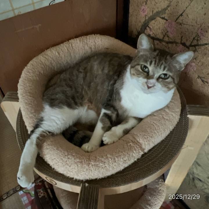 2247c9a8 f933 4f9c 91a6 4cf349bec533 1766974345530