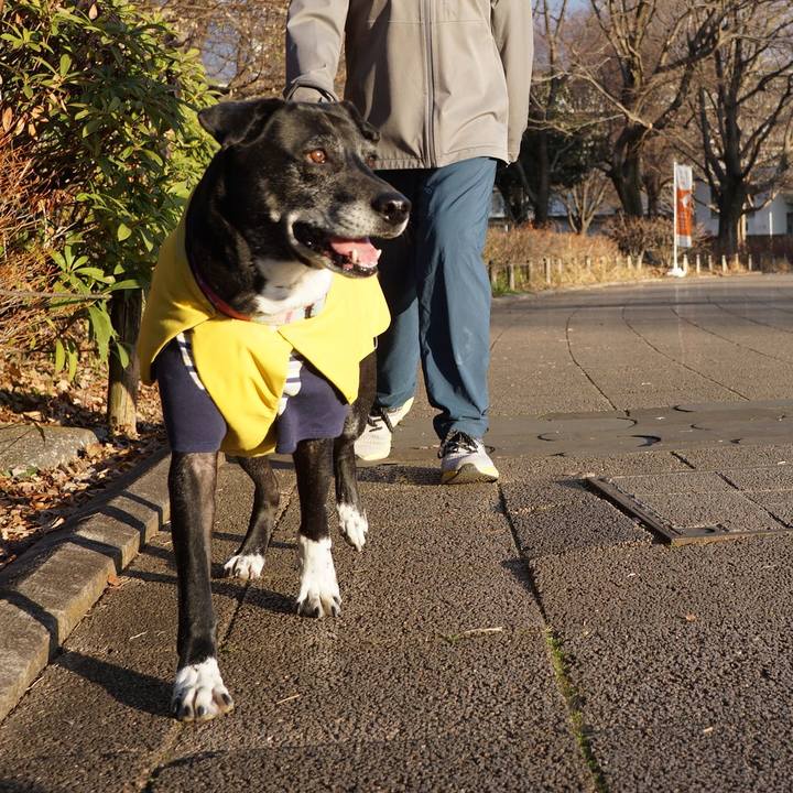 2247f21c 89e7 4c60 95bd 52e66531c2d3 1767315686143