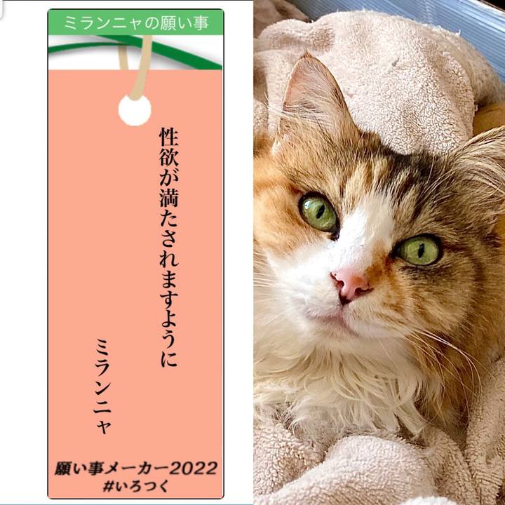 22480b84 652f 4eec b10f a2ad4285fd64 1657057457339