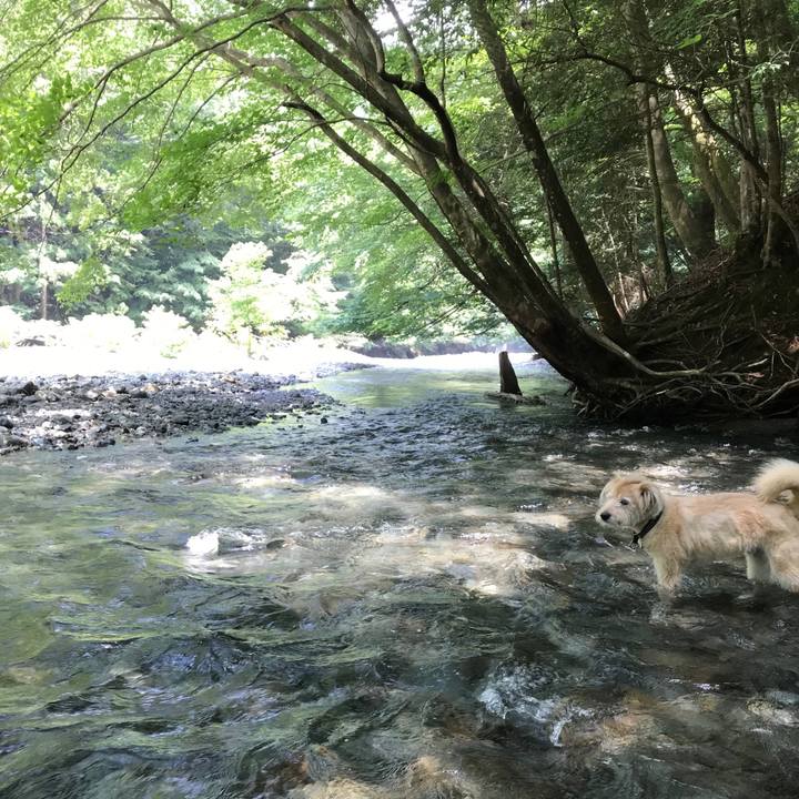 22484035 3baf 48cc 9069 271b1d7f8300 1531737163365