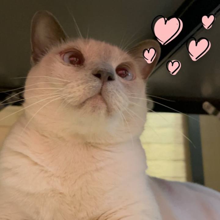 22488f1d 9370 47cc af89 53d32bbb7e6e 1745668038375