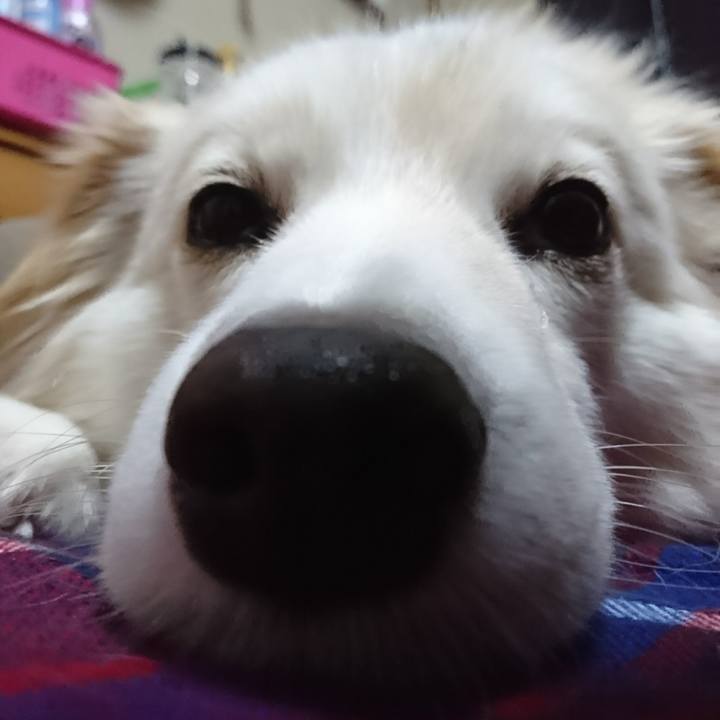 22489887 4ec9 442a 85f7 022909d9fc7d 1518815524318