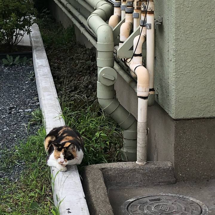 2248990a d0b4 4484 ae9e 2f814f05fd33 1630704674878