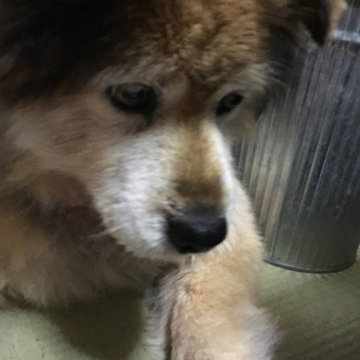 2248cc5d 8d30 4171 9d51 f84eb0e800a3 1608896421884