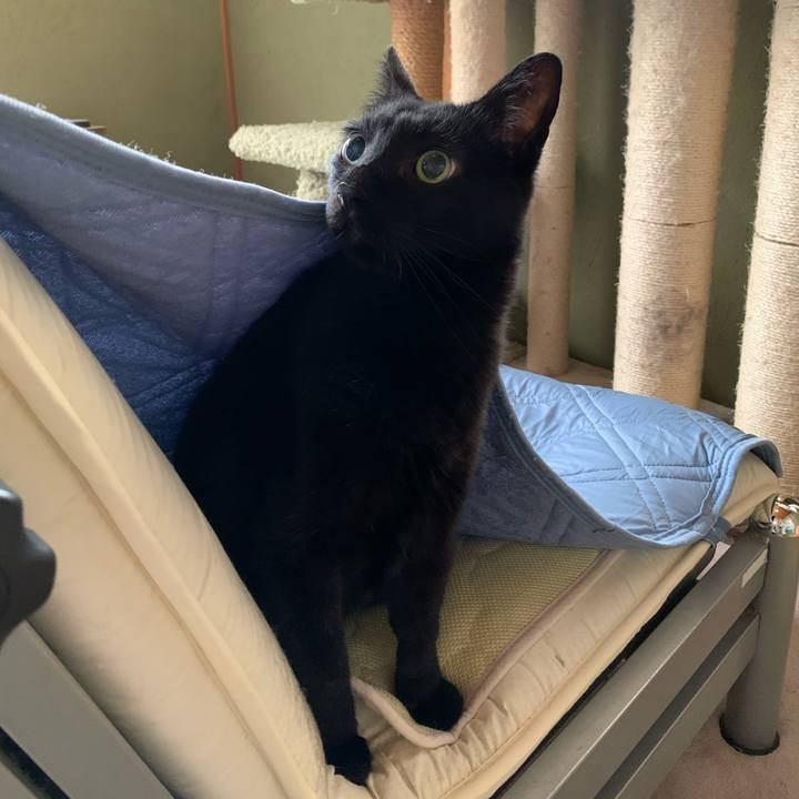 2248ce76 5815 4e71 9a1a bc4aeee26dbf 1593219921255