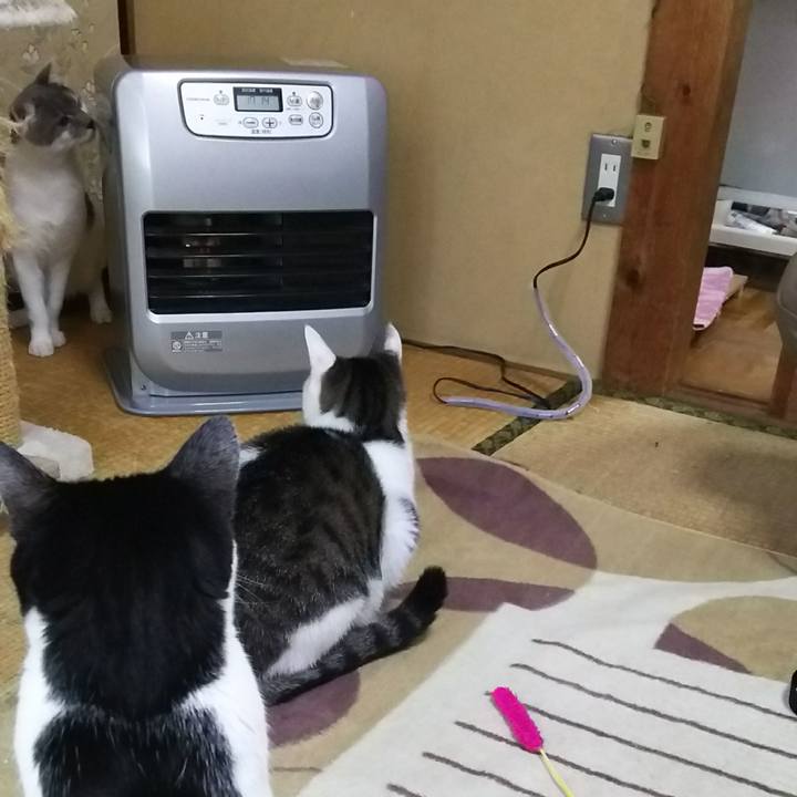 22493c33 bf29 4d9d a7f7 667631eb858c 1511076321811