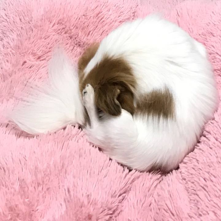 22493e4f 237d 4182 aee7 29d30a54a010 1511275464493