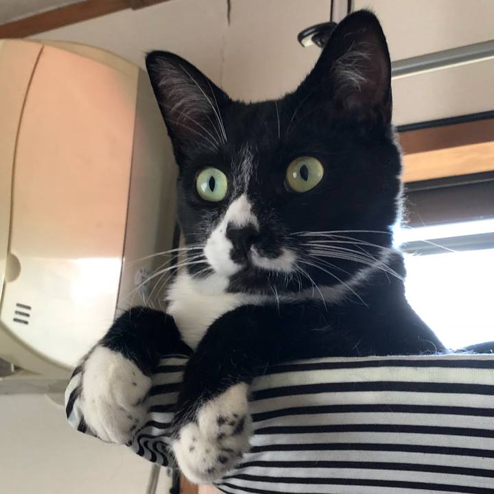 224977ed 154a 4258 8c79 0423e04c1a9e 1533614194117