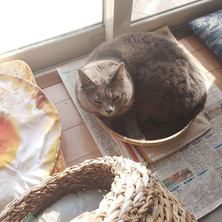 22497ff4 9968 41ba 82a7 6743d1901753 1550813454784