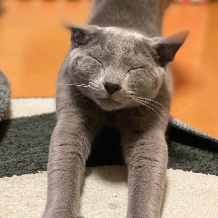 2249a421 cd8c 4bc4 a087 4a65dd73c5a6 1619533947633