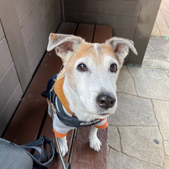 2249b657 e8b9 40a1 a0d4 9a8f1dc210ac 1607843192241