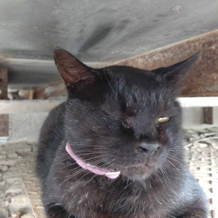 2249ec68 3b53 4e9a 84f9 3f1e20c43467 1728263881099