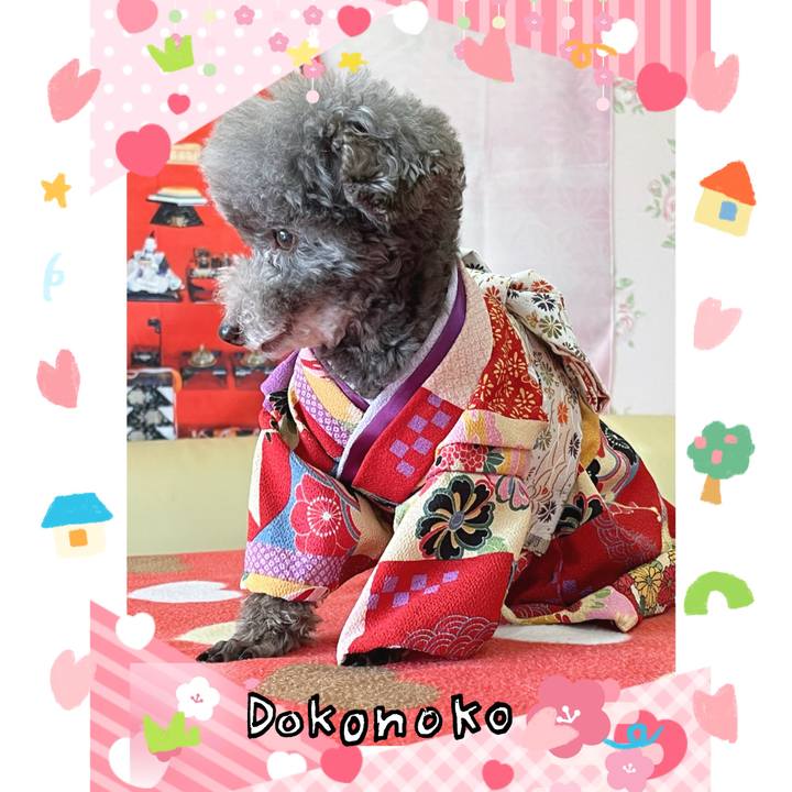 2249fad0 bc7a 4d20 908a dc67527ed5b7 1741259989799