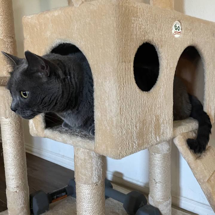 224a18de 886a 4b29 8b6e 5b609dbc66cb 1743910951285