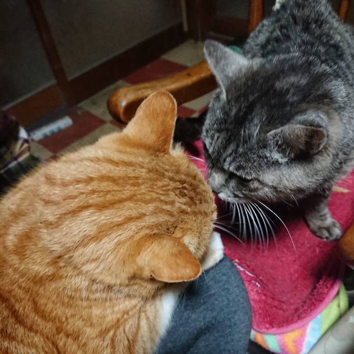 224a1ac9 7f3d 47f3 9223 52fd5628e9da 1581806805328