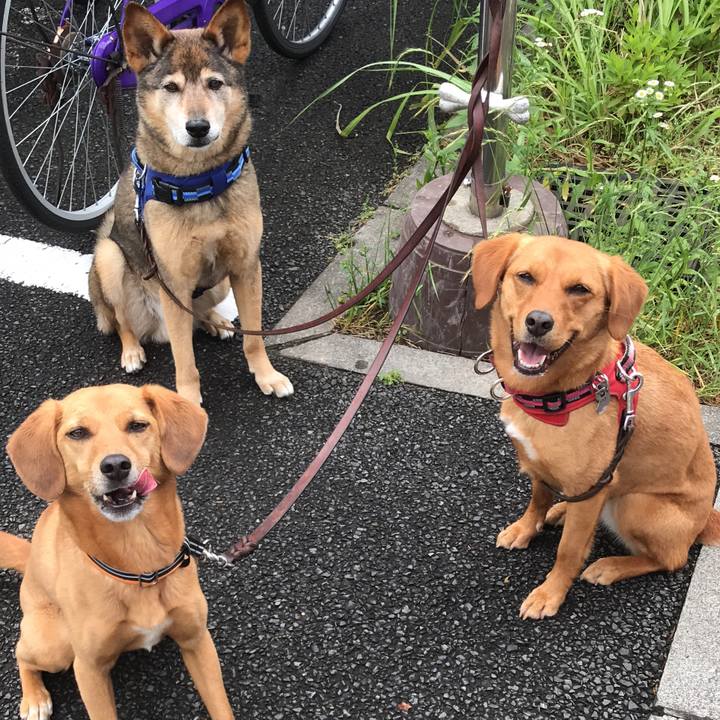 224a23b1 b546 422f 9bf8 704d2a59bede 1527409916647