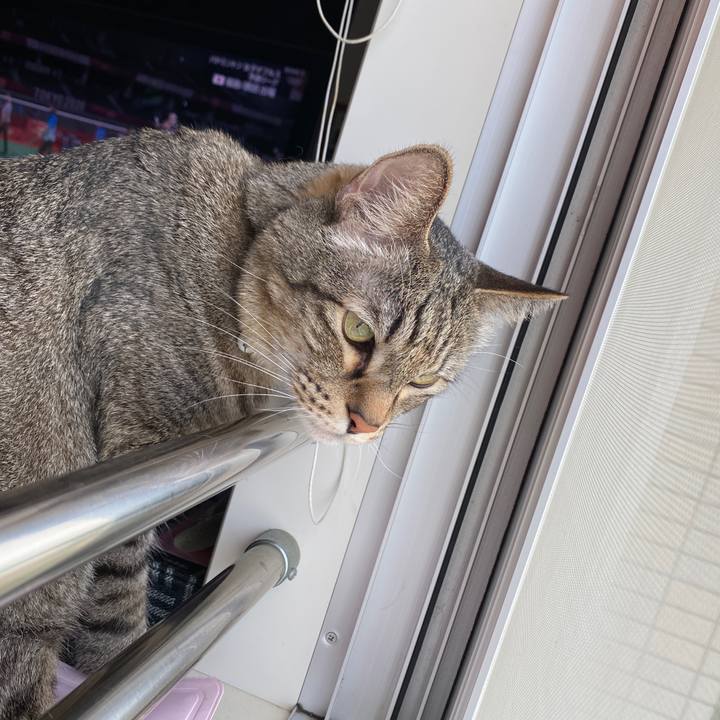 224a876b 494a 4b79 beac 6e15839a35de 1627173919396