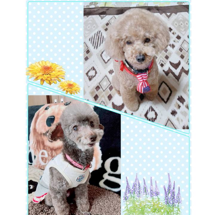 224aa84e 5f5f 4cb6 ba16 d45c874d007f 1745826756102