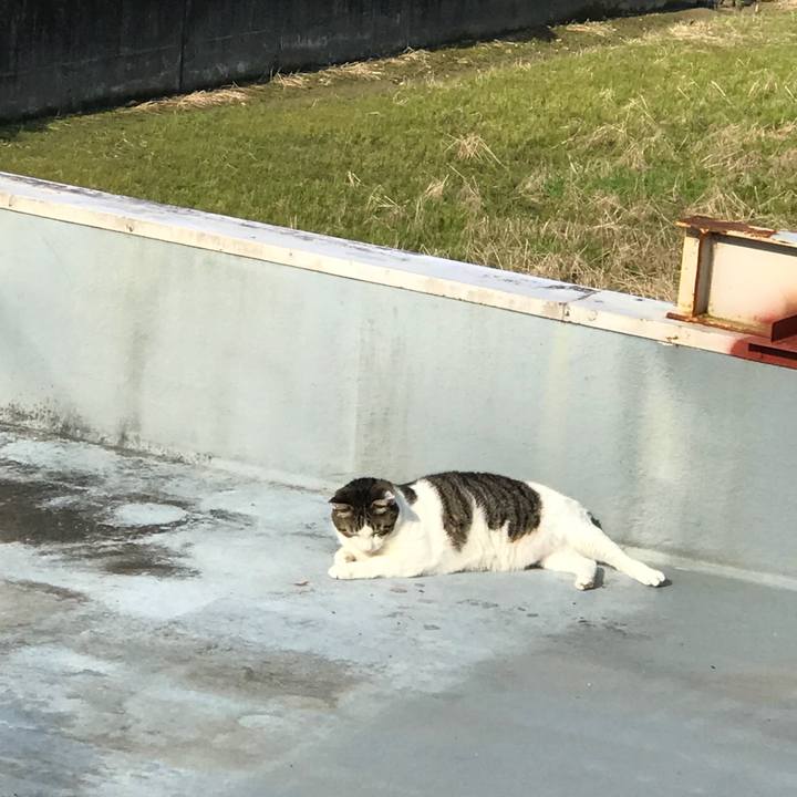 224ad3ab bab5 4412 89bf d56cc19b177a 1529965372512