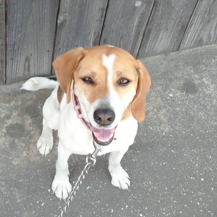 224af196 c4a7 424d 8a53 1b06729ab7b3 1588939438861