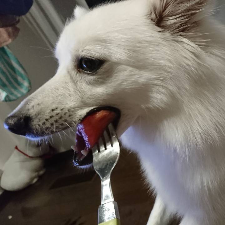 224b1d0f c988 48fe abc0 51a55ed29ace 1529505485525