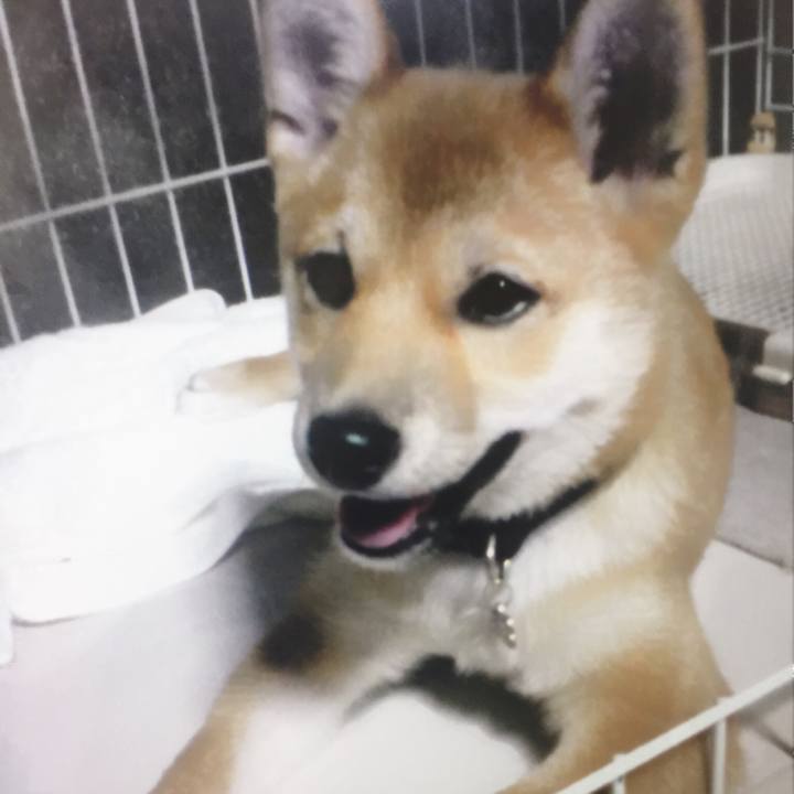 224b2db1 7ed7 44d4 bedf 12462ee0bd46 1527091379708