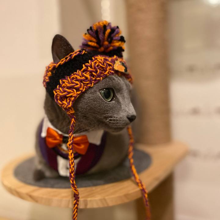 224b3f39 4c23 4896 9f37 6c7d0e1d8a11 1698153648526