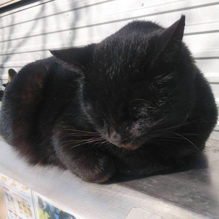 224b4a1c fb87 4aa7 81b2 28cc3117f454 1609813853353