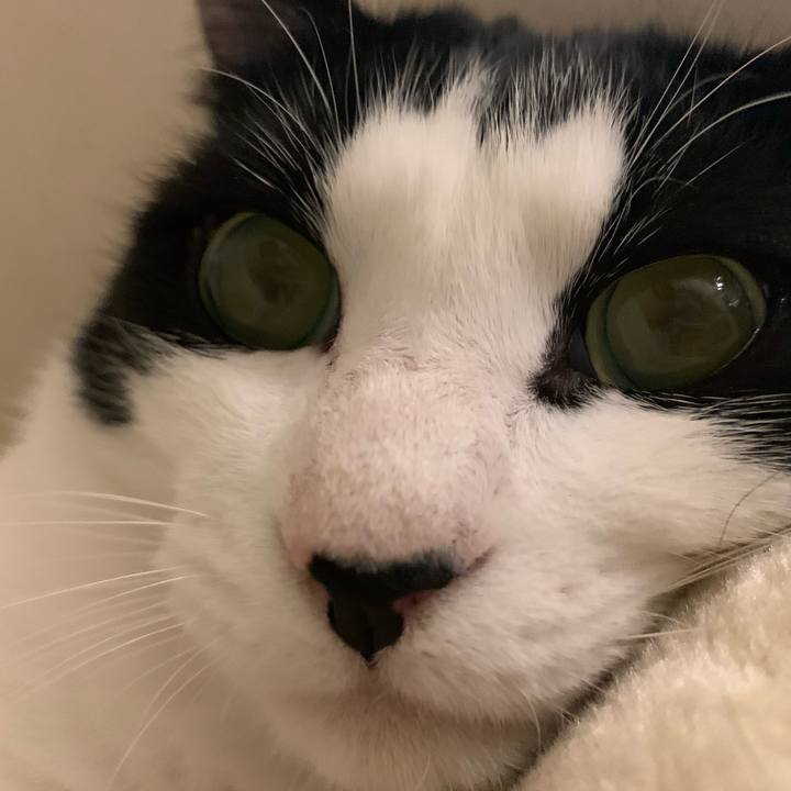 224b5895 dfde 45d8 ae58 8eaaf983b485 1731718088420