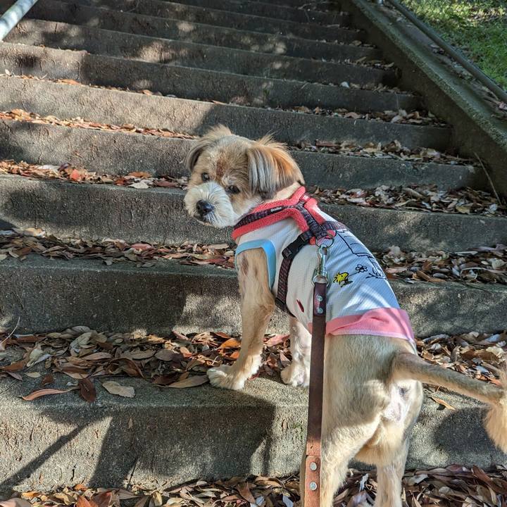 224b757f d3af 499e a5e4 cdcac924cfbd 1684155321997